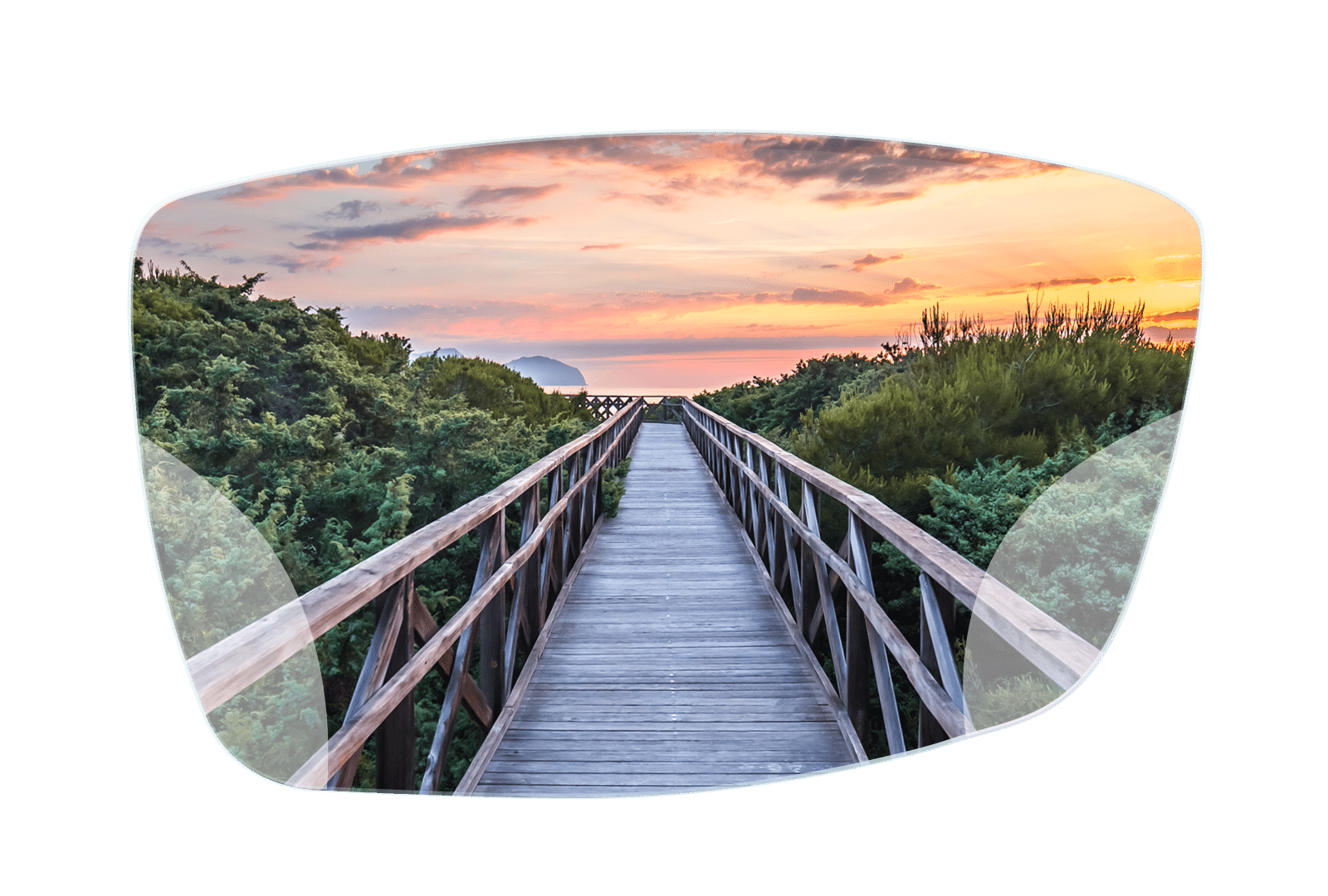 vision NOVO